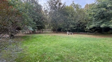 Propriété rare au bord de l'Eau Bourde GRADIGNAN 5 pièces 3 chambres + bureau sur un parc paysager