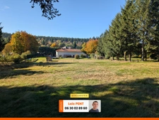 Charmante maison à vendre 9 pièces, 212m², 3 salles d'eau SAINT NICOLAS DES BIEFS (03250)