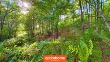 🌲 Terrain viabilisé 1785 m² – Vue exceptionnelle à Saulxures-sur-Moselotte 🌄