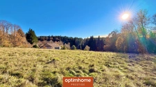 Domaine – 268 m² – 6 chambres et 6 salles de bain – Terrain 8 730 m² – Proche Gérardmer – Champdray