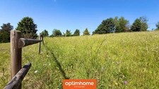 MAISON FAMILIALE À VENDRE À GÉRARDMER – VUE MONTAGNE, VUE SUR LES PISTES DE SKI ET 9 117 M² DE TERRAIN
