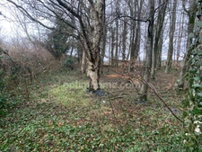 A VENDRE 2 MAISONS EN PIERRE  10 ET 4 PERS A ALEMBON