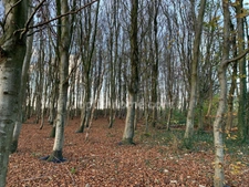 A VENDRE 2 MAISONS EN PIERRE