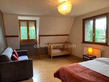 A VENDRE 2 MAISONS EN PIERRE  10 ET 4 PERS A ALEMBON