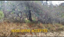 Terrains de loisirs à vendre de 7 769,00 m² (2 parcelles) PEILLE (06)