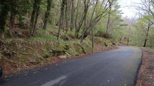 Terrain à vendre de 16 225,00 m² PEILLE (06)