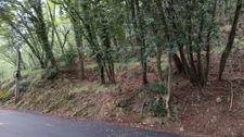 Terrain à vendre de 16 225,00 m² PEILLE (06)
