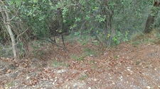 Terrains à vendre de 7 769,00 m² (2 parcelles) PEILLE (06)