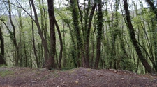 Terrain à vendre de 16 225,00 m² PEILLE (06)