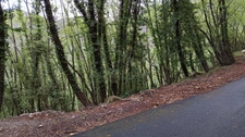Terrain à vendre de 16 225,00 m² PEILLE (06)