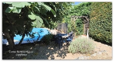 Village house with garden, swimming pool and garage — Heart of Gers