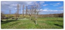Ensemble de 2 maisons - Terrain 1.9 hectare