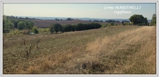 Propriete à vendre 22 pièces proche de AGEN (47) 4 habitations 885 m² + dépendances, 27 ha