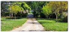 Stone house for sale, 200 m², with 8560 m² of wooded grounds