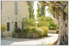 A vendre propriété 4 habitations 885 m² + dépendances, 27 ha