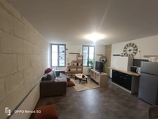 Local commercial/appartement  à vendre FONTEVRAUD L'ABBAYE (49)