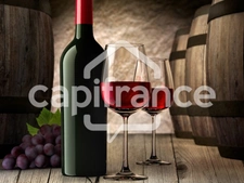 Fonds de commerce à vendre proche de BOURGUEIL (37)
