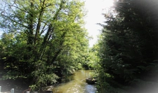 20-room property for sale near Angers (49)