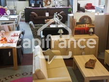FDC ou DAB à vendre proche de SAUMUR (49)