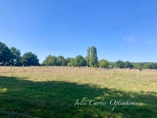 PROPRIÉTÉ ÉQUESTRE (72)
