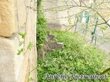 Maison à vendre 97m² 4 chambres