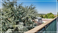 Appartement studio LOUÉ à vendre 35m² à Sarrebourg (57) en centre ville, lumineux avec balcon