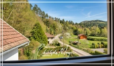 Gîte à vendre 9 chambre à ABRESCHVILLER (57), avec piscine, spa et jacuzzi 