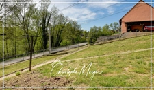 Maison à vendre 3 chambres 115m² à Hangviller (57) proche de Phalsbourg, avec grand jardin et sous-sol