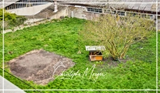 Maison à vendre 6 chambres 175m² à Sarrebourg (77) centre ville, spacieuse, avec jardin et garages