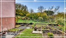 House for sale as a life annuity – 1 bedroom – 62 m² – Frémifontaine (88), near Rambervillers, with garden, in a quiet setting