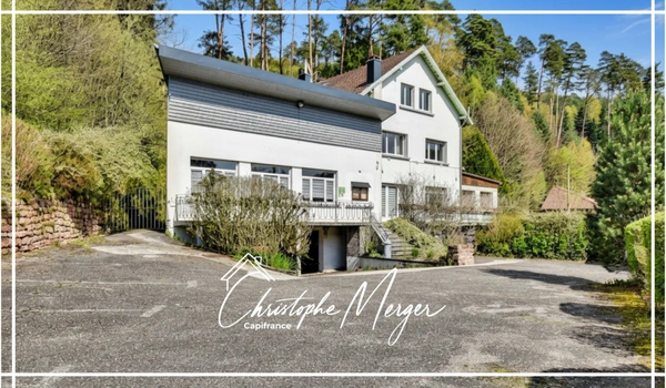 Gîte à vendre 9 chambre à ABRESCHVILLER (57), avec piscine, spa et jacuzzi 