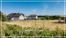Terrain constructible à vendre 1 620 m² à Lorquin (57), non viabilisé, borné