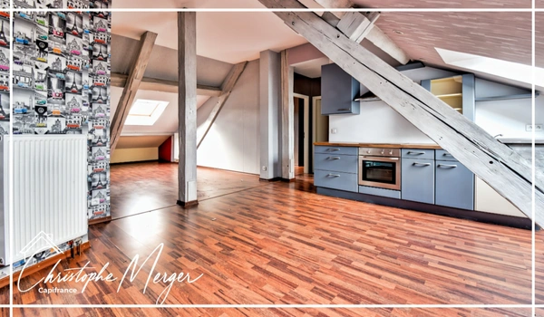 Appartement à louer 1 chambre 48m² à SARREBOURG (57), place du marché, spacieux