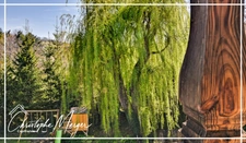 Maison à vendre 6 pièces MARMOUTIER (67)