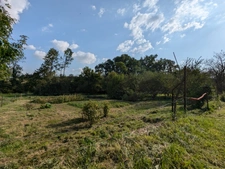 Baisse de prix Maison à Evres de 130m2 avec un Gite 150m2 séparé et des  espaces granges, asinerie . Exclusivité.  