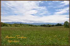Ferme à rénover à LUCQ DE BEARN