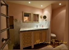 Maison de charme 300m2 à LUCQ DE BEARN (64)