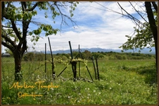 Ferme à rénover à LUCQ DE BEARN