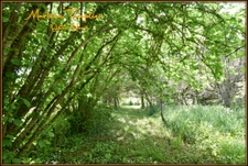 Demeure de caractère 260 m² – 4 800 m² terrain – Vue Pyrénées – 5 min Navarrenx