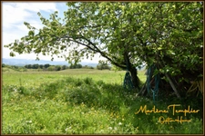 Propriété à vendre à LUCQ DE BEARN
