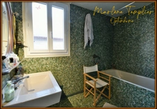 Maison Béarnaise de 5 pièces principales et dépendance à LUCQ DE BEARN (64)