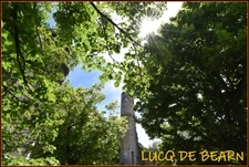 Terrain viabilisé à  LUCQ DE BEARN (64)