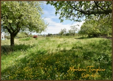 Ferme à rénover à LUCQ DE BEARN