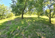 Maison à vendre 3 pièces, 75m², garage 42m², grand terrain clos