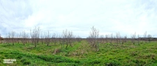 Terrain agricole douze hectares, vergers, hangar bio-climatique fermé, hangar ouvert, serres, rucher, lac artificiel,...