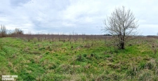 Terrain agricole douze hectares, vergers, hangar bio-climatique fermé, hangar ouvert, serres, rucher, lac artificiel,...