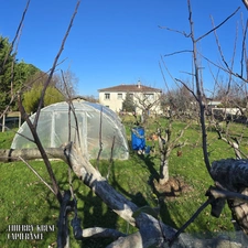Maison familiale de 109 m² sur grand terrain arboré. Sous-sol complet. Quartier calme à Montauban.