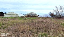 Terrain agricole douze hectares, vergers, hangar bio-climatique fermé, hangar ouvert, serres, rucher, lac artificiel,...