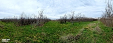 Terrain agricole douze hectares, vergers, hangar bio-climatique fermé, hangar ouvert, serres, rucher, lac artificiel,...