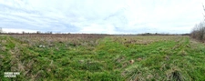 Terrain agricole douze hectares, vergers, hangar bio-climatique fermé, hangar ouvert, serres, rucher, lac artificiel,...